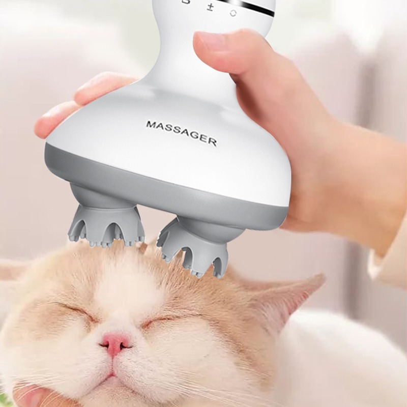 Wireless Waterproof Electric H - Hair Scalp Massager review and price
