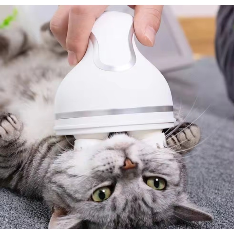 Cat Smart Automatic Silicone R - Hair Scalp Massager review and price