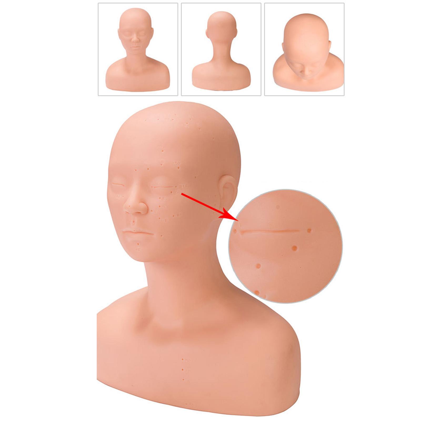 Training Mannequin Head Makeup - Beauty Makeup Training review and price